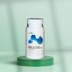 Cell Cycle Supplement